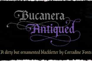 Bucanera Antiqued Family Font Review