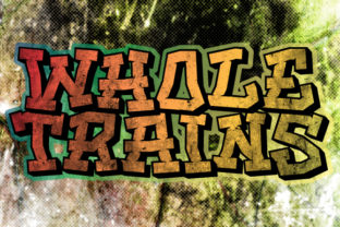 Whole Trains: A Bold Font for Your Brand